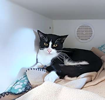 Photo of Rocket
