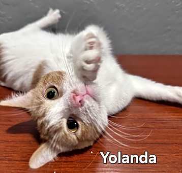 Photo of Yolanda
