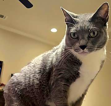 Photo of Cindy