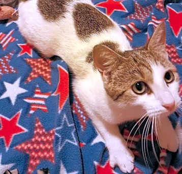 Photo of Melly