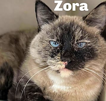 Photo of Zora 250059
