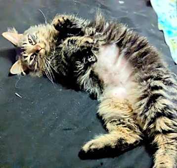 Photo of Hera