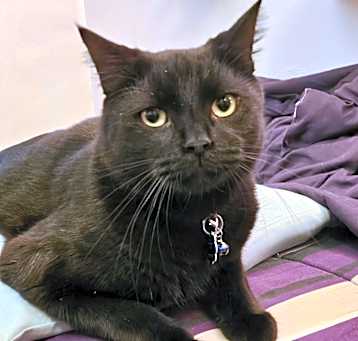 Photo of Sammy