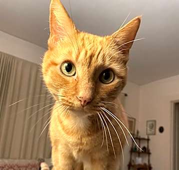 Photo of Calvin