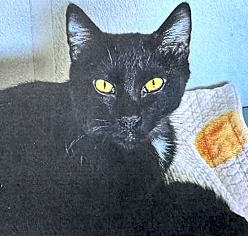 Photo of Gunther