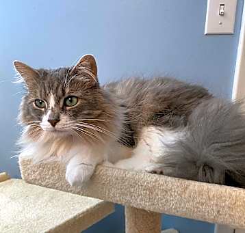 Photo of Sugar