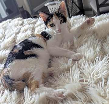 Photo of Sookie