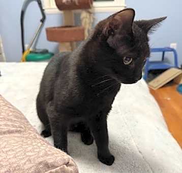 Photo of Tabitha