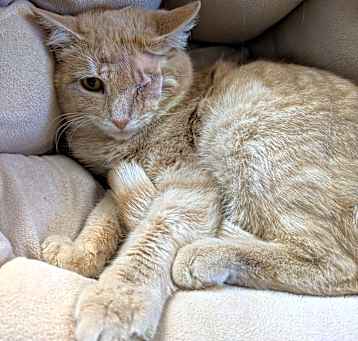 Photo of Captain Jack