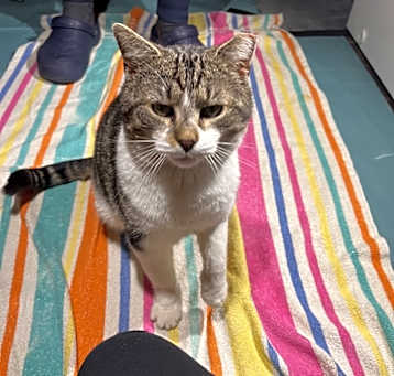 Photo of Felix