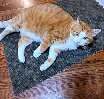 Photo of Max