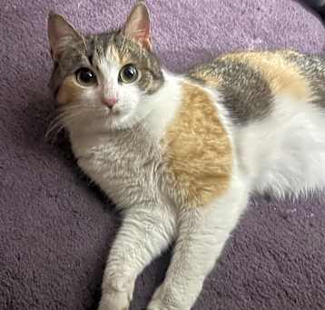 Photo of Squirt