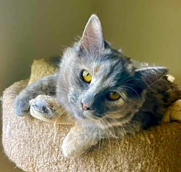 Photo of Molly