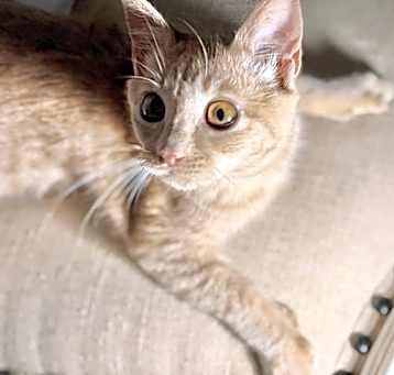 Photo of Rhea