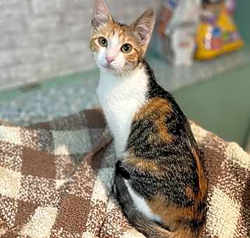 Photo of Zuzu