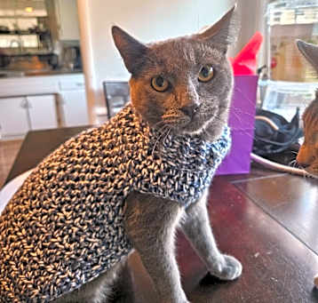 Photo of Mr. Tumnus