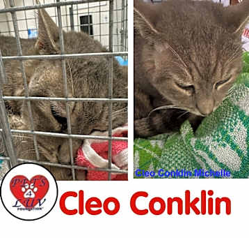 Photo of Cleo Conklin