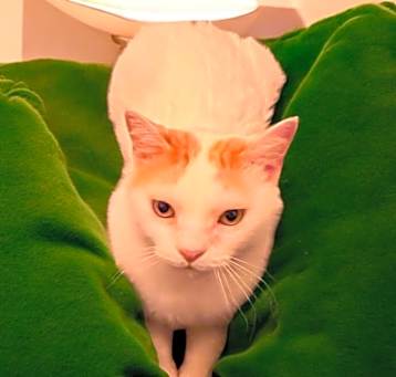 Photo of Zan