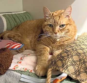 Photo of Butterball