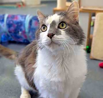 Photo of Winston