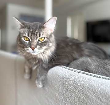 Photo of Knox