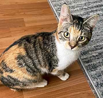 Photo of Ezzy