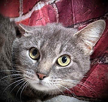 Photo of Grace