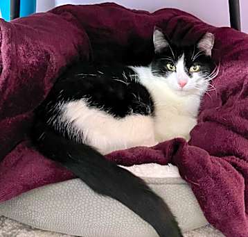 Photo of Penelope