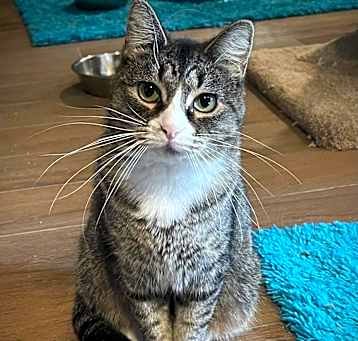 Photo of Penelope