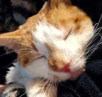 Photo of William
