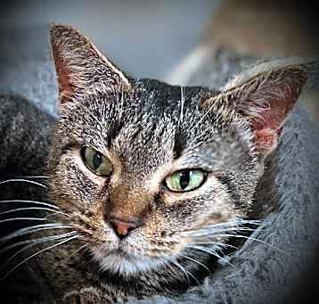 Photo of Tabitha "Tabi