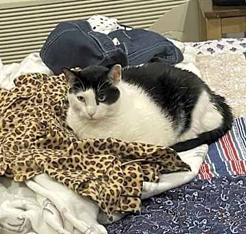 Photo of Mitzi