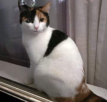 Photo of Carlota