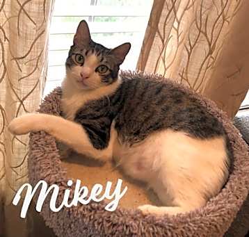 Photo of Mikey #he-eats-anything