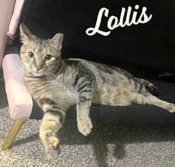 Photo of Lollis #loves-her-freedom