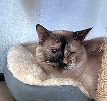 Photo of Liza