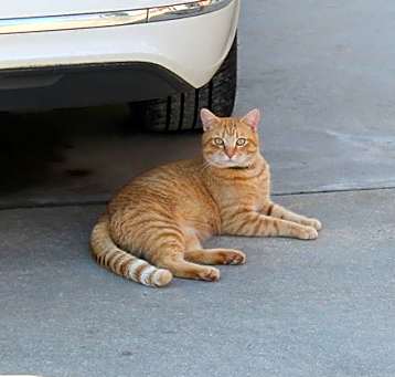 Photo of Dude