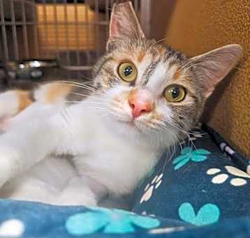 Photo of PALOMA