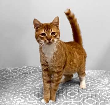 Photo of Leo
