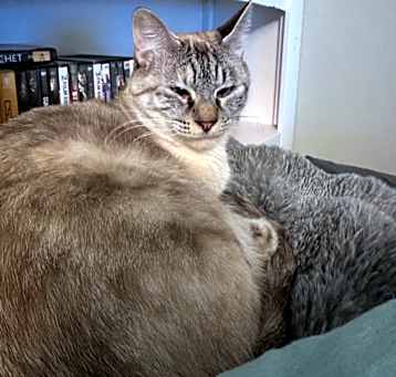 Photo of Precious
