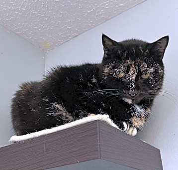 Photo of Olivia