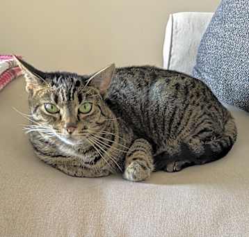 Photo of Cindy