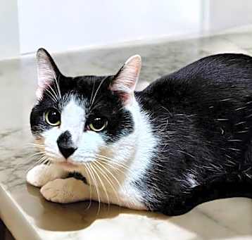 Photo of Ruben