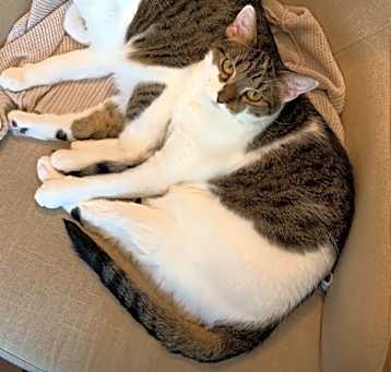 Photo of Skitters