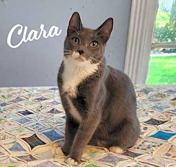 Photo of Clara #dainty-green-eyed-beauty