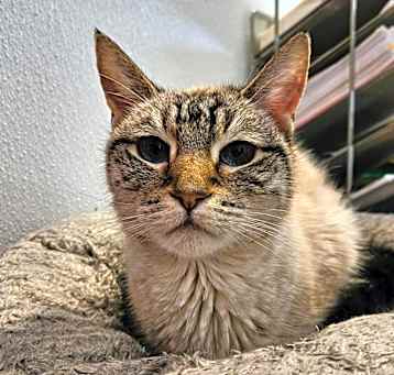 Photo of Story
