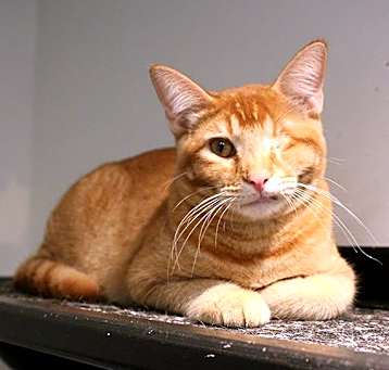 Photo of Anthony