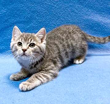 Photo of Nessarose
