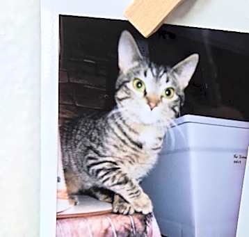 Photo of Wally