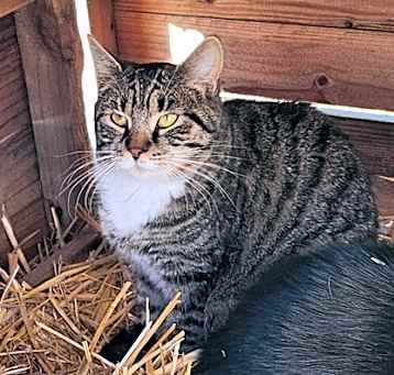 Photo of Atlas